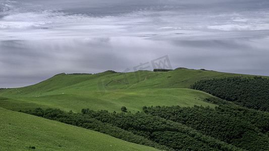 俯拍森林摄影照片_内蒙古夏季高山牧场景观