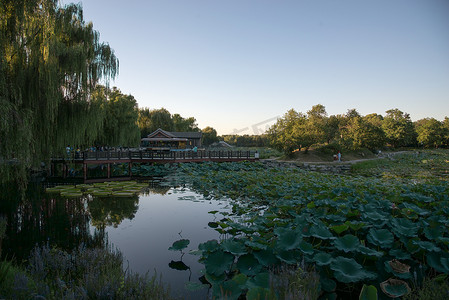 北京圆明园