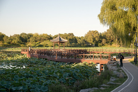 北京圆明园