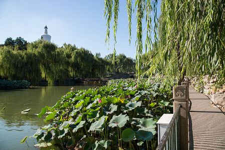 北京北海公园