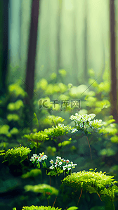 绿色植物花朵背景图片_森林绿色植物小花朵