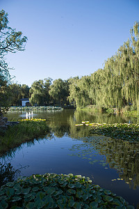 北京圆明园