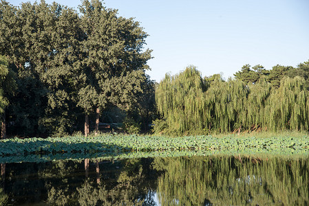 北京圆明园