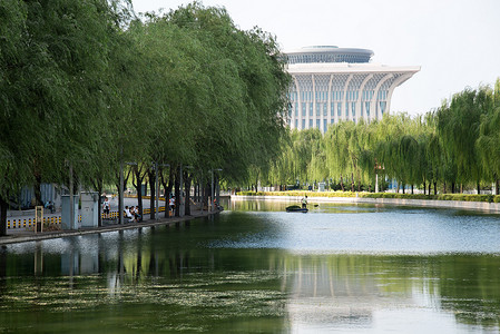 北京奥体中心公园