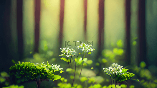 夏天绿色背景图片_森林绿色植物小花朵