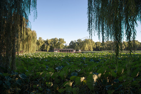 北京圆明园