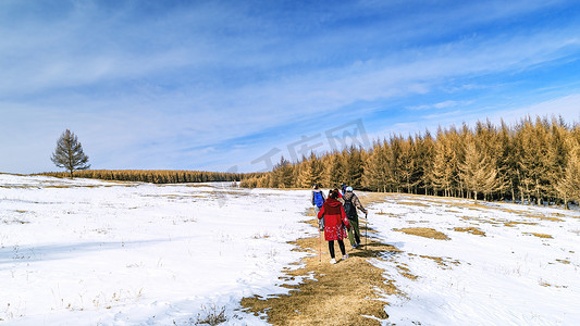 内蒙古冬季高山林场树木冰雪户外运动
