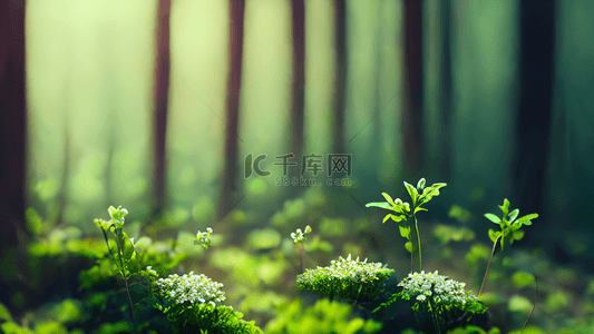 夏天绿色背景图片_森林绿色植物小花朵