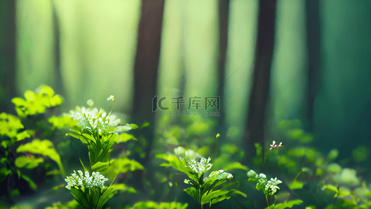绿色植物壁纸背景图片_森林绿色植物小花朵