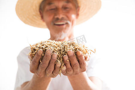 麦子背景摄影照片_捧着麦子的老农民