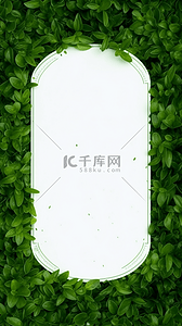 绿叶包围的白色边框