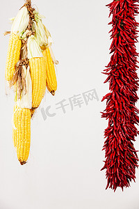 悬挂的玉米摄影照片_农作物丰收
