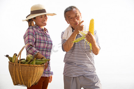 农民拿着玉米