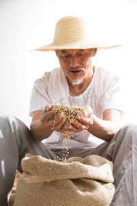 捧着麦子的老农民