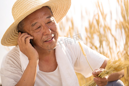 老农民在农田里打电话