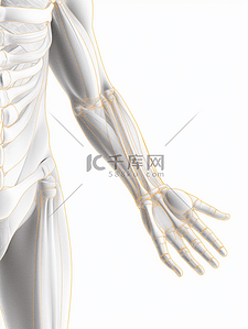 人体经络背景图片_人体关节医学透视图