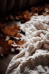 秋天。热巧克力针织毯，干花秋叶
