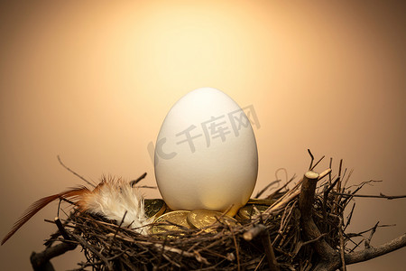彩色羽毛摄影照片_鸟窝里的蛋和金币和羽毛