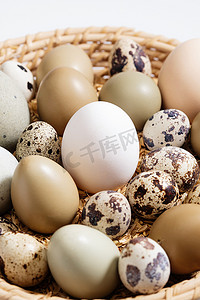 筐里的鸡蛋鸭蛋鹌鹑蛋