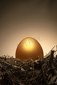 金融素材摄影照片_鸟窝里的金蛋
