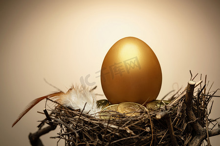 金币堆金融素材摄影照片_鸟窝里的金蛋和金币和羽毛