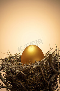 中国的银行摄影照片_树杈上鸟窝里的金蛋