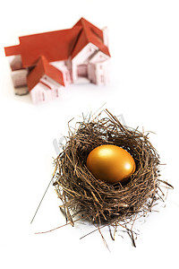 金色背景素材摄影照片_房屋模型和鸟巢里的金蛋