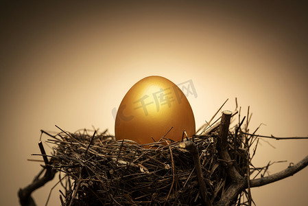 中国的银行摄影照片_树杈上鸟窝里的金蛋