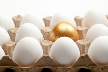 素材个性摄影照片_一盒鸡蛋中的金蛋