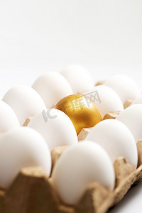 个性素材摄影照片_一盒鸡蛋中的金蛋