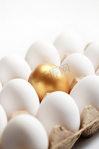 素材个性摄影照片_一盒鸡蛋中的金蛋