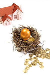 金币堆金融素材摄影照片_房屋模型和鸟巢里的金蛋金币