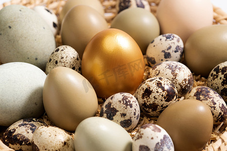 成就素材摄影照片_筐里的鸡蛋鸭蛋鹌鹑蛋金蛋