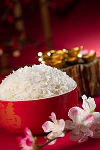 米字格写字格书法摄影照片_中国传统特色米饭