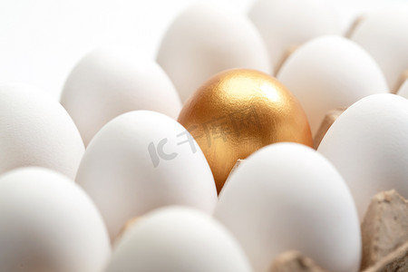个性素材摄影照片_一盒鸡蛋中的金蛋