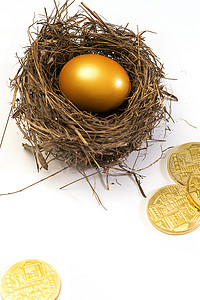 散落的金币摄影照片_鸟窝里的金蛋和散落的金币