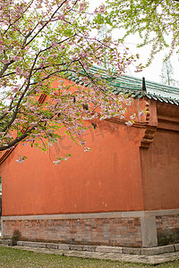 古代建筑摄影照片_古代建筑风景赏花红墙