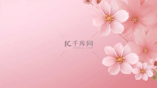 花卉边框背景图片_节日花卉边框(21)