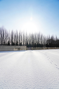 雪景