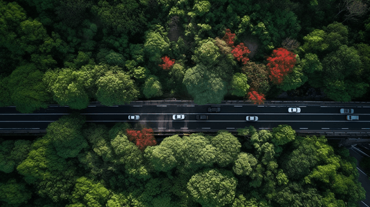 航拍树木环绕的高速公路