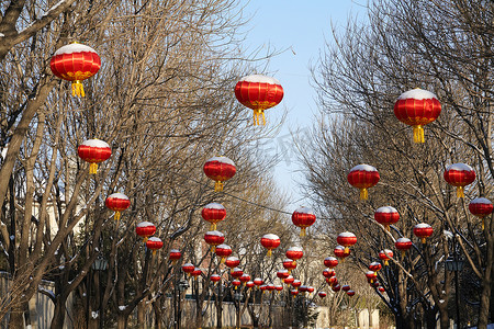 春节文化习俗摄影照片_别墅区雪景