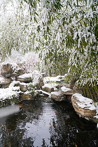 假山图片摄影照片_下雪后的私家花园
