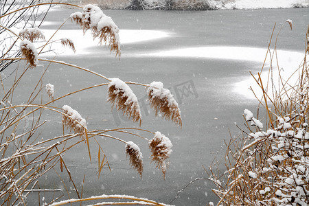无人迹摄影照片_雪中的冰冻的湖面