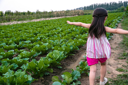 休闲农业摄影照片_东方儿童在农庄玩耍