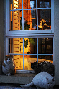 窗户夜景摄影照片_窗户