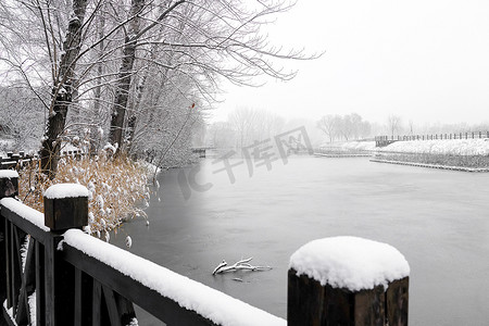 树林水面摄影照片_下雪后的湖边风景