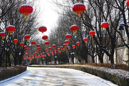 春节文化习俗摄影照片_别墅区雪景