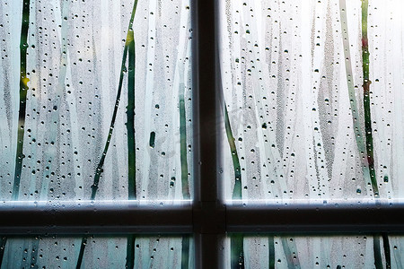 雨后玻璃摄影照片_雨后的窗户局部