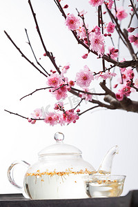花朵植物盆栽摄影照片_梅花茶具