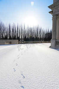 雪景